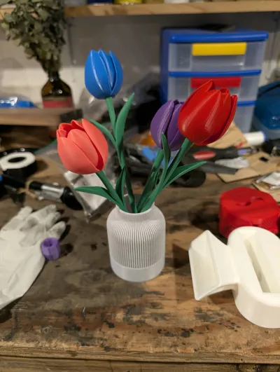 https://makerworld.bblmw.com/makerworld/comment/20260203/1926938387/bc6c8db812371f7e.jpg