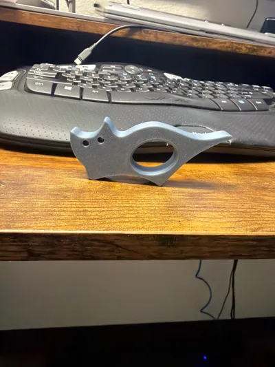https://makerworld.bblmw.com/makerworld/comment/20260203/201004285/01c057d3585acf5c.jpg