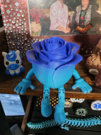 https://makerworld.bblmw.com/makerworld/comment/20260203/2064660060/6b6f43e24e6b1cd3.jpg