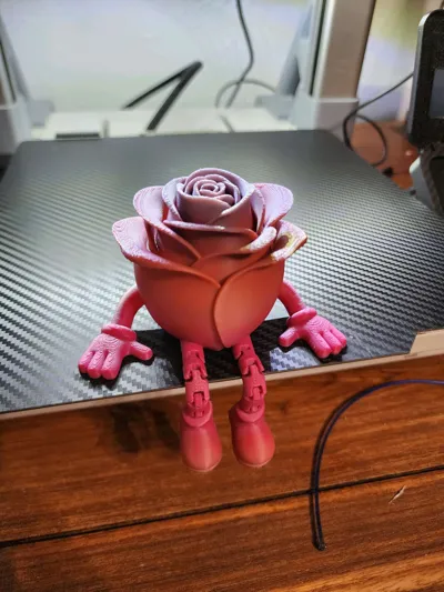 https://makerworld.bblmw.com/makerworld/comment/20260203/2064660060/e10412ef7a96bbb7.jpg
