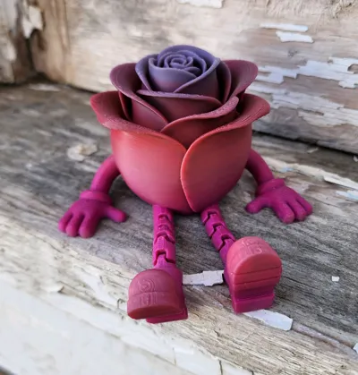 https://makerworld.bblmw.com/makerworld/comment/20260203/2064660060/e3828bfcd17dab46.jpg