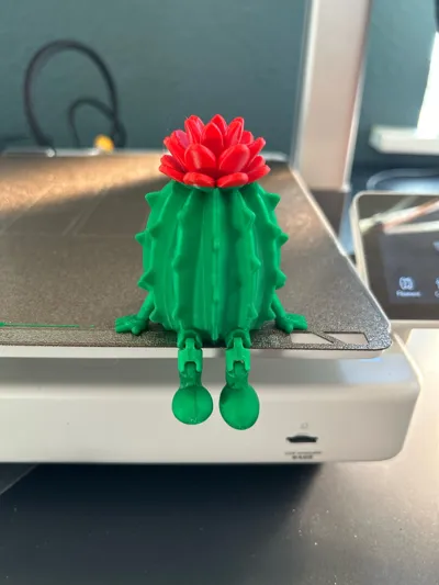 https://makerworld.bblmw.com/makerworld/comment/20260203/2346905841/4f1a06944fcad2f7.jpg