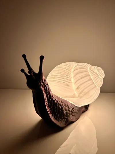 https://makerworld.bblmw.com/makerworld/comment/20260203/2438649979/212fe366d9362324.jpg