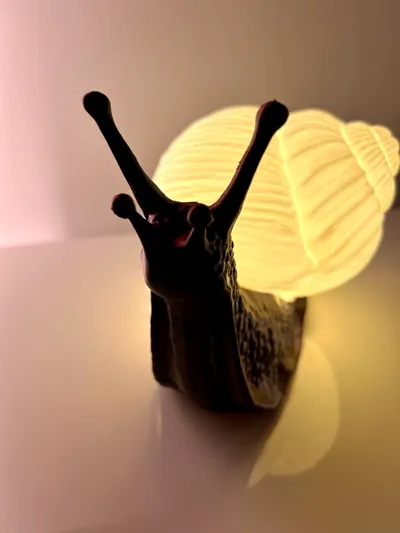 https://makerworld.bblmw.com/makerworld/comment/20260203/2438649979/c9cf15bb32ff0765.jpg