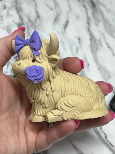 https://makerworld.bblmw.com/makerworld/comment/20260203/2487772254/82fb40a53ba2340a.jpg