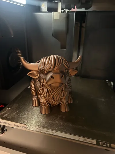 https://makerworld.bblmw.com/makerworld/comment/20260203/2487772254/9b7ad0e7490f9557.jpg