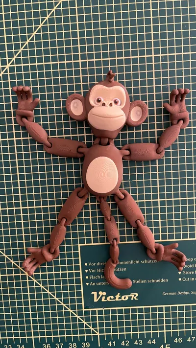 https://makerworld.bblmw.com/makerworld/comment/20260203/2559629219/6a9b4817a1f092d0.jpg