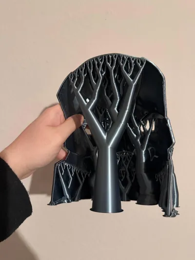 https://makerworld.bblmw.com/makerworld/comment/20260203/2725838415/a6b4793db921fd72.jpg