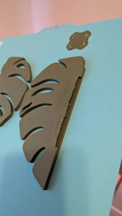 https://makerworld.bblmw.com/makerworld/comment/20260203/2826725017/452d9194fa7c4d1e.jpg