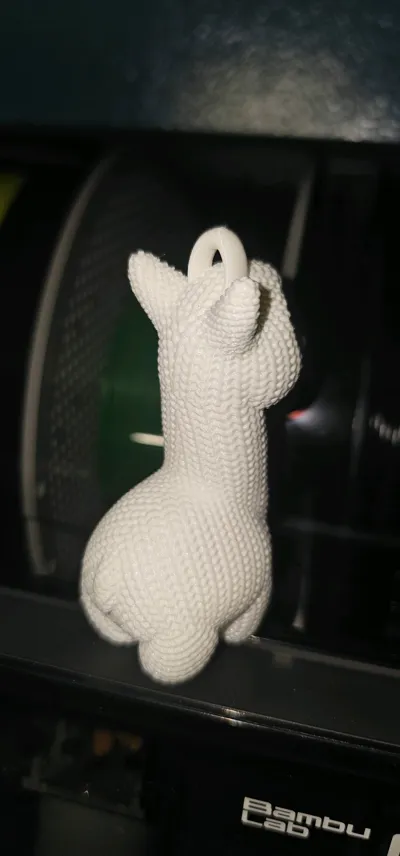 https://makerworld.bblmw.com/makerworld/comment/20260203/2910638509/24256237685e310e.jpg