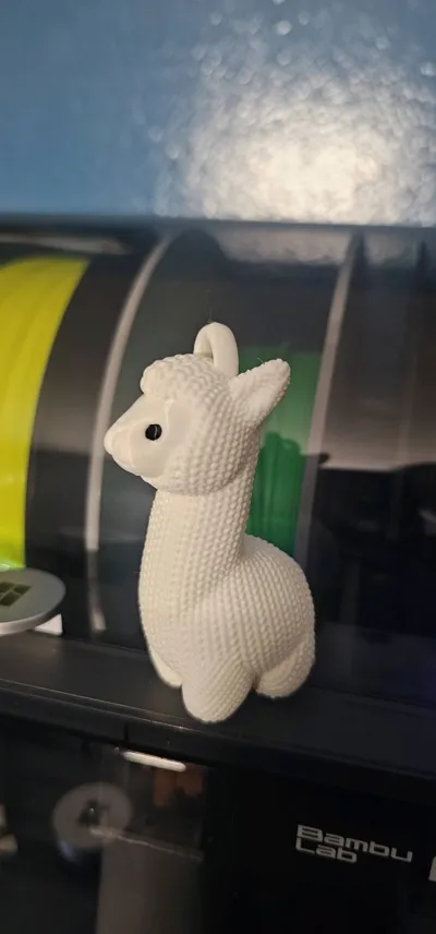 https://makerworld.bblmw.com/makerworld/comment/20260203/2910638509/f8ce6ef178bf05be.jpg