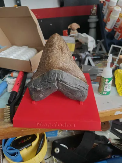 https://makerworld.bblmw.com/makerworld/comment/20260203/333101406/99775fa2140affd7.jpg