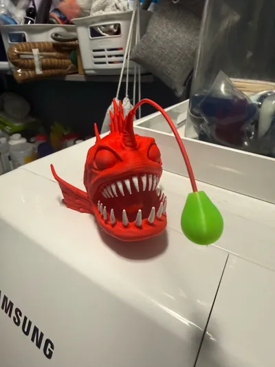 https://makerworld.bblmw.com/makerworld/comment/20260203/3591131313/928da253cdfa0fb2.jpg