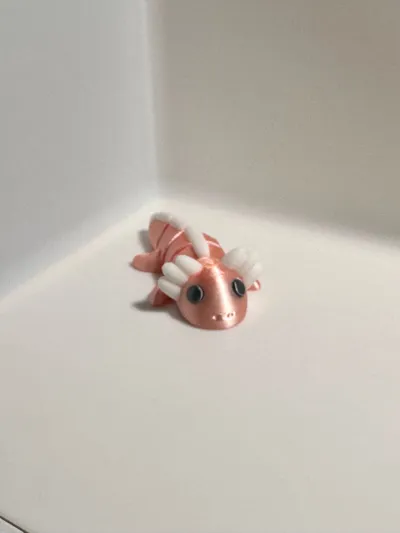 https://makerworld.bblmw.com/makerworld/comment/20260203/3861937836/5c26b5074de9a059.jpg