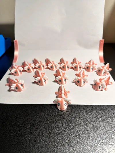 https://makerworld.bblmw.com/makerworld/comment/20260203/3861937836/dc19dec8ce7ad91b.jpg