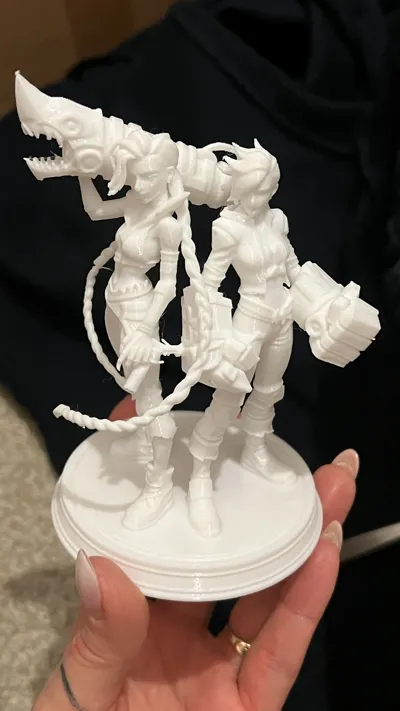 https://makerworld.bblmw.com/makerworld/comment/20260203/3981885463/19684bb5ebd5f283.jpg