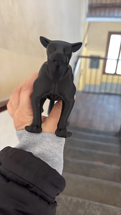 https://makerworld.bblmw.com/makerworld/comment/20260203/408846587/58abf304c9472216.jpg