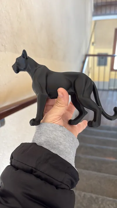 https://makerworld.bblmw.com/makerworld/comment/20260203/408846587/ff94e513e232d4a4.jpg