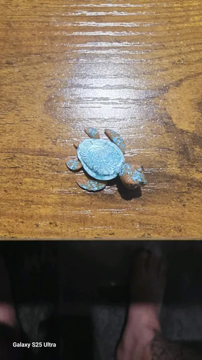 https://makerworld.bblmw.com/makerworld/comment/20260203/68215760/c39bb1c279d65025.jpg