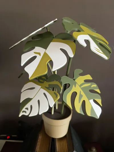 https://makerworld.bblmw.com/makerworld/comment/20260203/861384374/2057c6f761a4d3ed.jpg