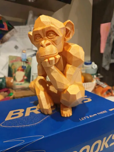 https://makerworld.bblmw.com/makerworld/comment/20260204/1020939513/368bee44db8dfe31.jpg