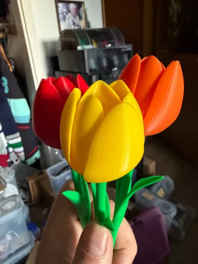https://makerworld.bblmw.com/makerworld/comment/20260204/1359591444/3f6514e40ee2401b.jpg