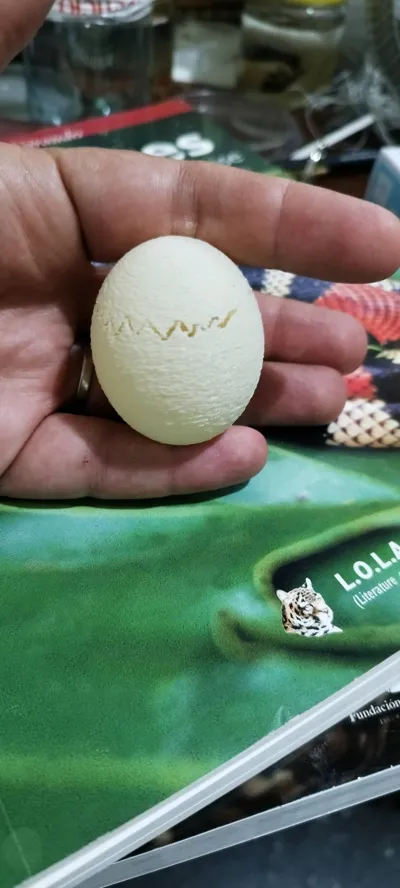 https://makerworld.bblmw.com/makerworld/comment/20260204/144576859/773b4848aefb8844.jpg