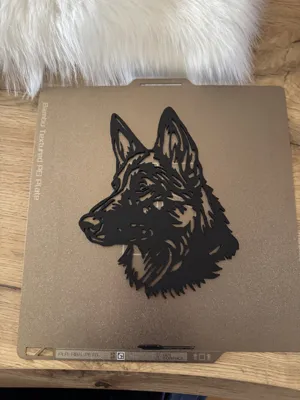 https://makerworld.bblmw.com/makerworld/comment/20260204/1539150040/653b2da49473c122.jpeg