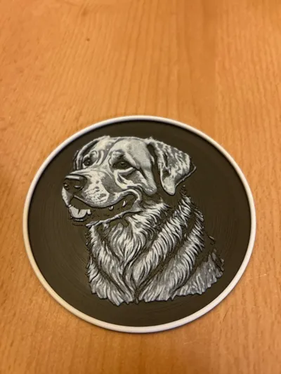 https://makerworld.bblmw.com/makerworld/comment/20260204/1946081587/eac30342f1c2ac18.jpg