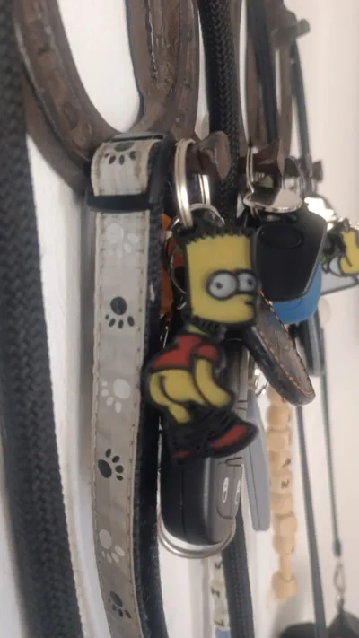 https://makerworld.bblmw.com/makerworld/comment/20260204/2205331208/dfa3fac2bce490a9.jpg