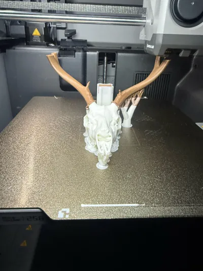 https://makerworld.bblmw.com/makerworld/comment/20260204/2359583707/c4c24055f3f6494e.jpg