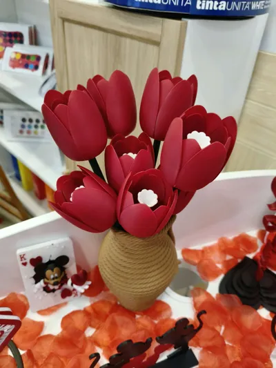 https://makerworld.bblmw.com/makerworld/comment/20260204/2513985270/fe17ff97e569f43c.jpg