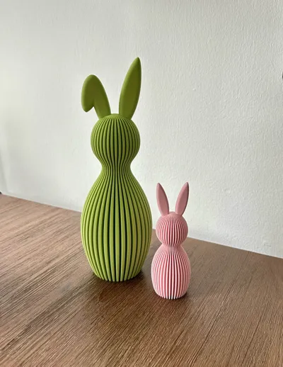 https://makerworld.bblmw.com/makerworld/comment/20260204/2800535273/8783c02d2eb8f764.jpg