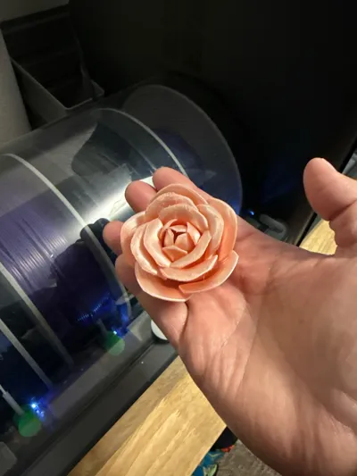 https://makerworld.bblmw.com/makerworld/comment/20260204/3200174814/1cb741bd0fddb5d4.jpg