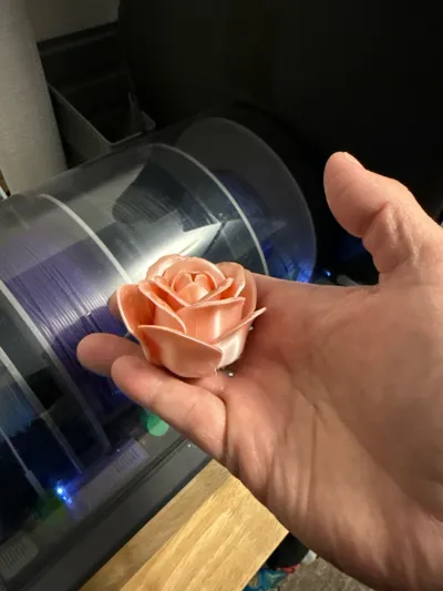 https://makerworld.bblmw.com/makerworld/comment/20260204/3200174814/c7dc5e69fe55ee31.jpg