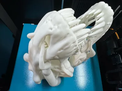 https://makerworld.bblmw.com/makerworld/comment/20260204/3924888079/9f860d8feb3a0984.jpg