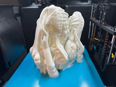 https://makerworld.bblmw.com/makerworld/comment/20260204/3924888079/a3cb66412fa03363.jpg