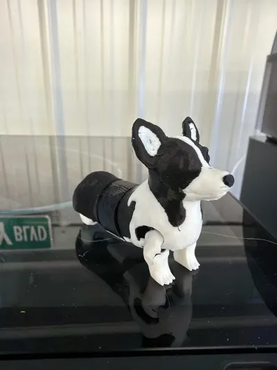 https://makerworld.bblmw.com/makerworld/comment/20260204/3971259829/b3b81260c202f422.jpg