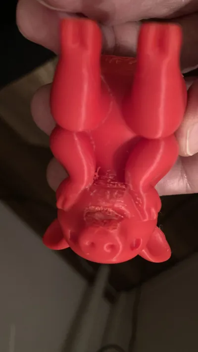 https://makerworld.bblmw.com/makerworld/comment/20260204/3992467595/25a814aa6746a697.jpeg