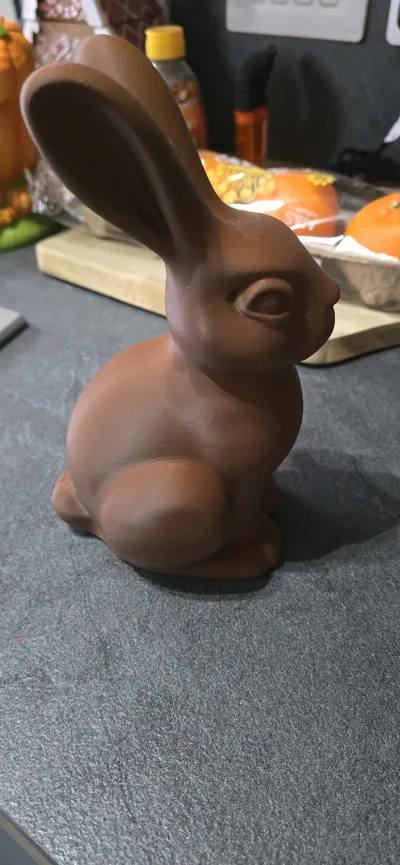 https://makerworld.bblmw.com/makerworld/comment/20260204/4049127778/b41256a7eb38c839.jpg