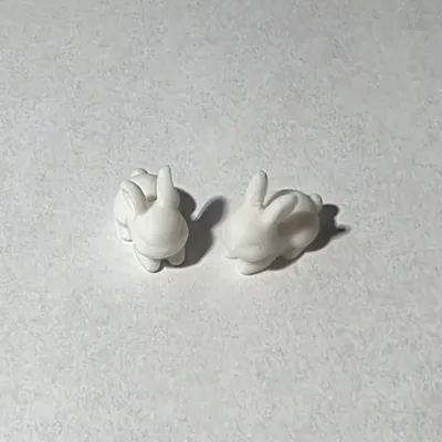 https://makerworld.bblmw.com/makerworld/comment/20260204/4114261704/ae7c3652757bc166.jpg