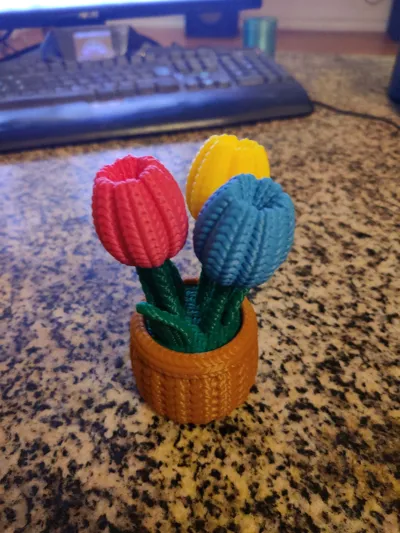 https://makerworld.bblmw.com/makerworld/comment/20260204/417138506/34c197dc24c4609a.jpg