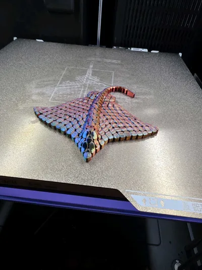 https://makerworld.bblmw.com/makerworld/comment/20260205/1120913706/421842069d05aa9e.jpg