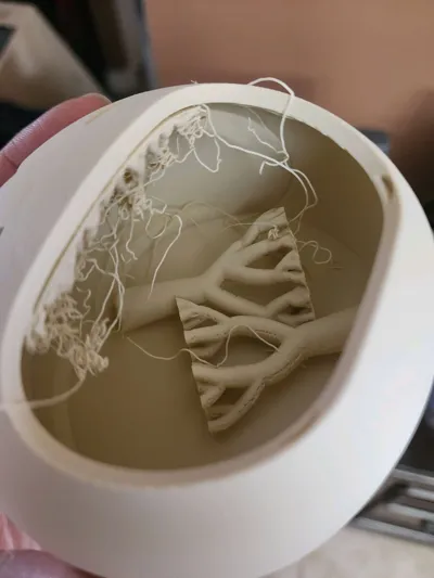 https://makerworld.bblmw.com/makerworld/comment/20260205/1408003067/9c9daa5eab205c2c.jpg