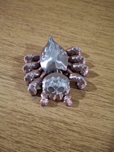 https://makerworld.bblmw.com/makerworld/comment/20260205/1864858386/df734622ed4933bc.jpg