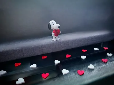 https://makerworld.bblmw.com/makerworld/comment/20260205/189533092/5ab9c2a6d79cc2fa.jpg