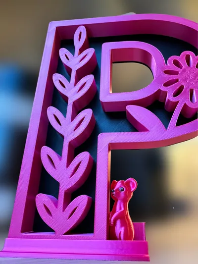 https://makerworld.bblmw.com/makerworld/comment/20260205/189533092/f3be81cb53c4311d.jpg
