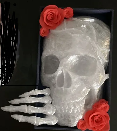 https://makerworld.bblmw.com/makerworld/comment/20260205/1949936674/55d15cc4801ffa65.jpg