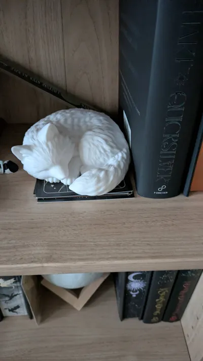 https://makerworld.bblmw.com/makerworld/comment/20260205/1949936674/846d68a109f24628.jpg