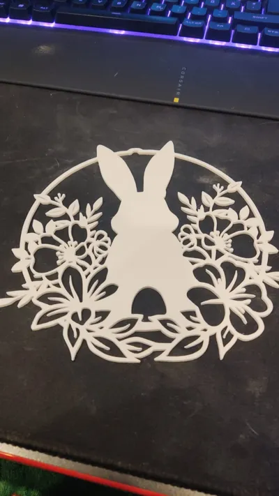 https://makerworld.bblmw.com/makerworld/comment/20260205/2148163139/3ce7fc0bbb652116.jpeg
